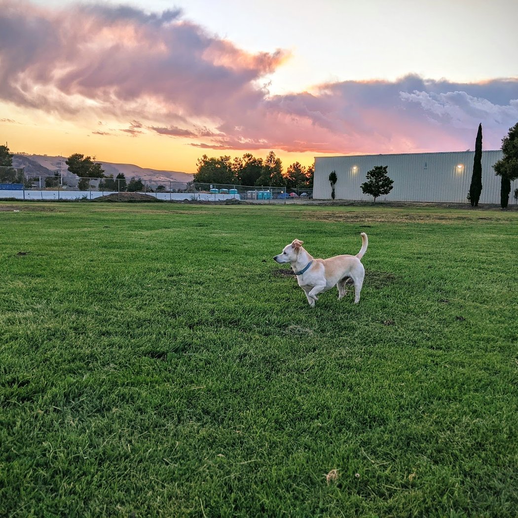 Waterfront Park 3