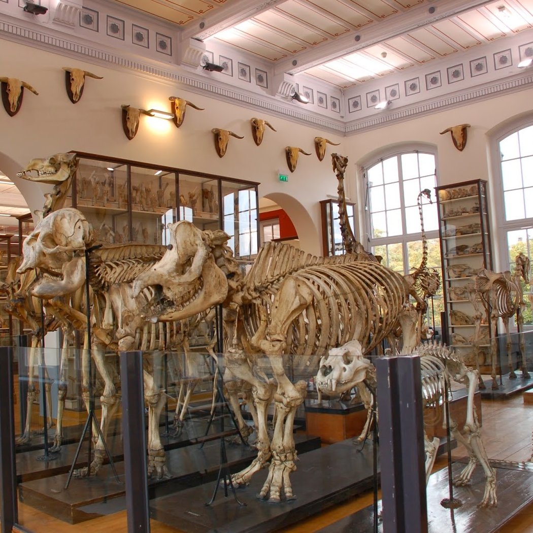 Visite guidée du Musée Fragonard 2