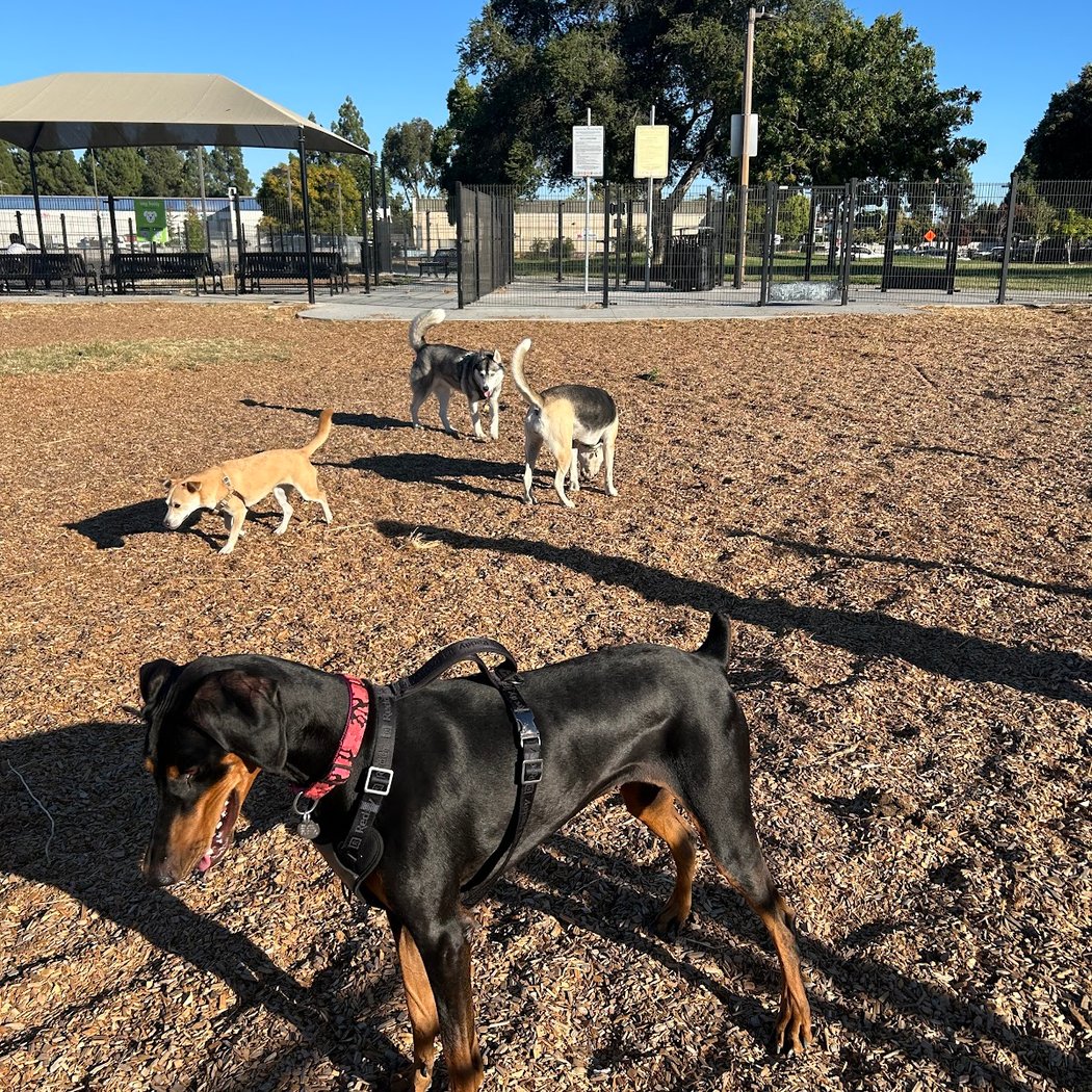 Welch Dog Park 1