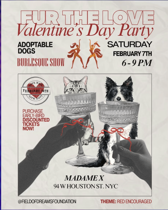 Fur The Love: A Dog Adoption Event 1