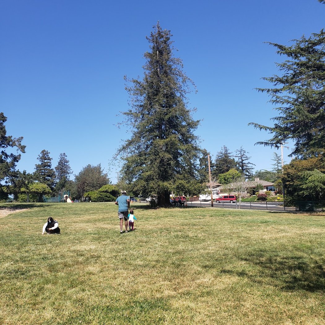 Parsons Park 2