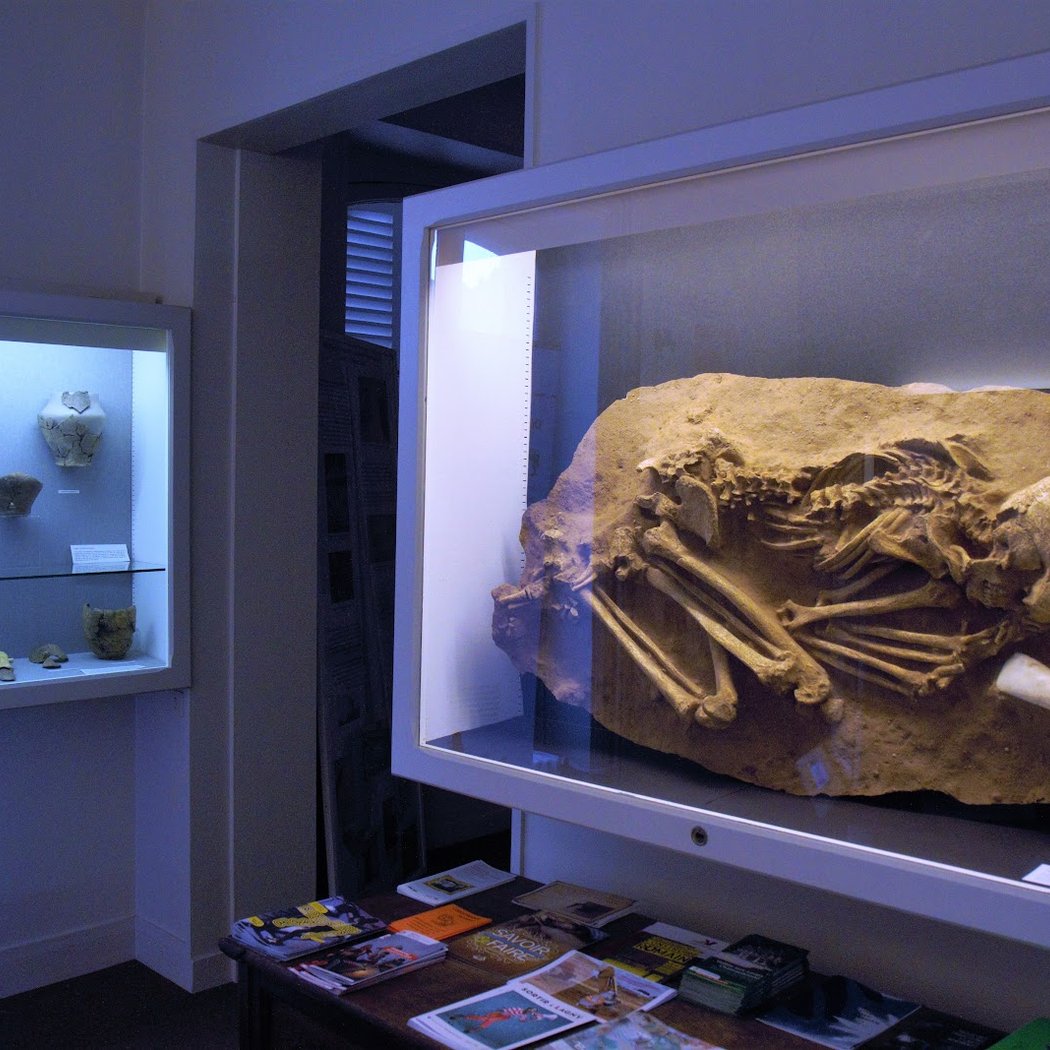 Municipal Museum Gatien-Bonnet 1