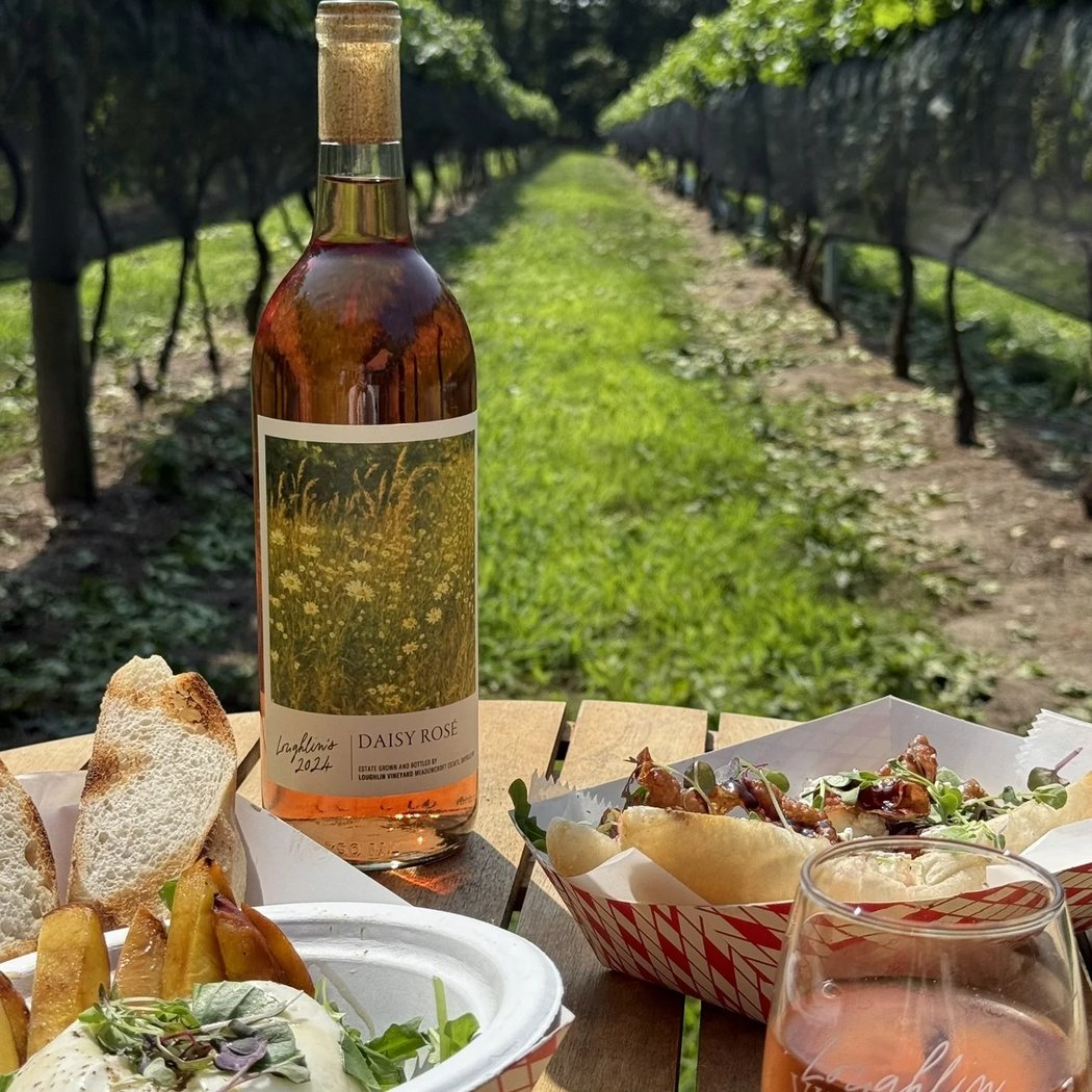 Loughlin Vineyard 1