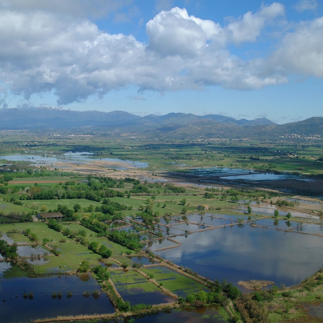 Aiguamolls de l'Empordà 1