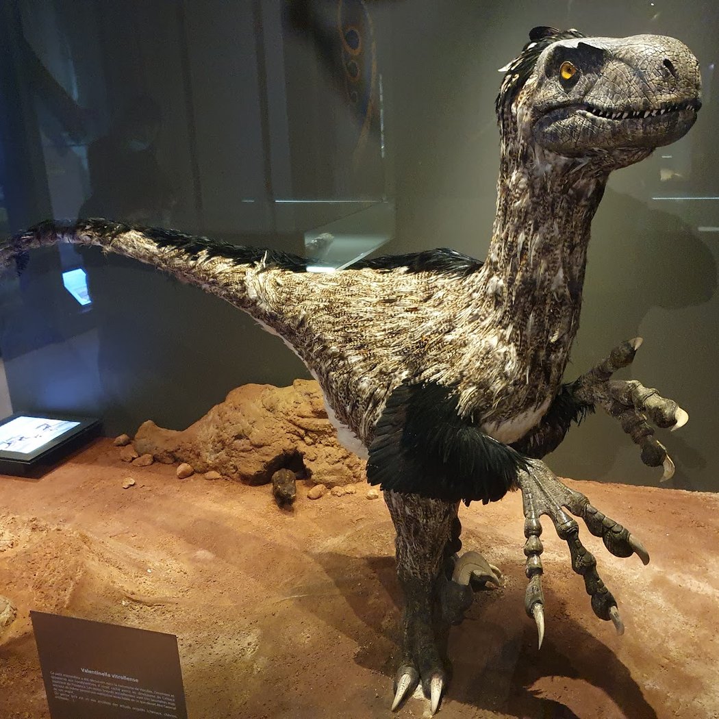 Muséum départemental du Var 2
