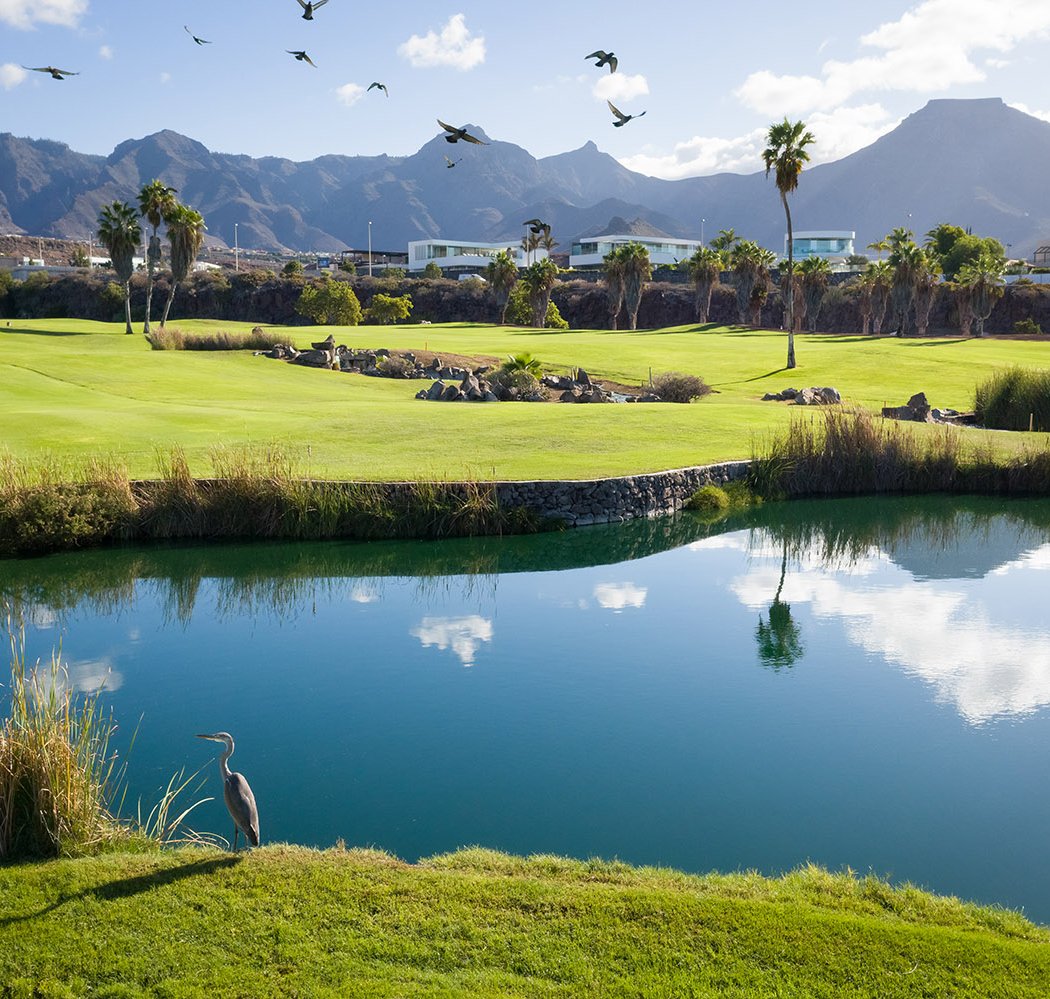 Los Lagos Golf Course 1