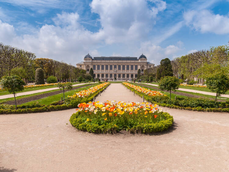 Jardin des Plantes 1