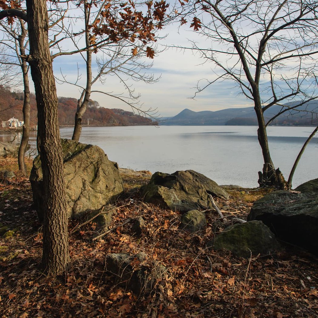 Mine Dock Park 3