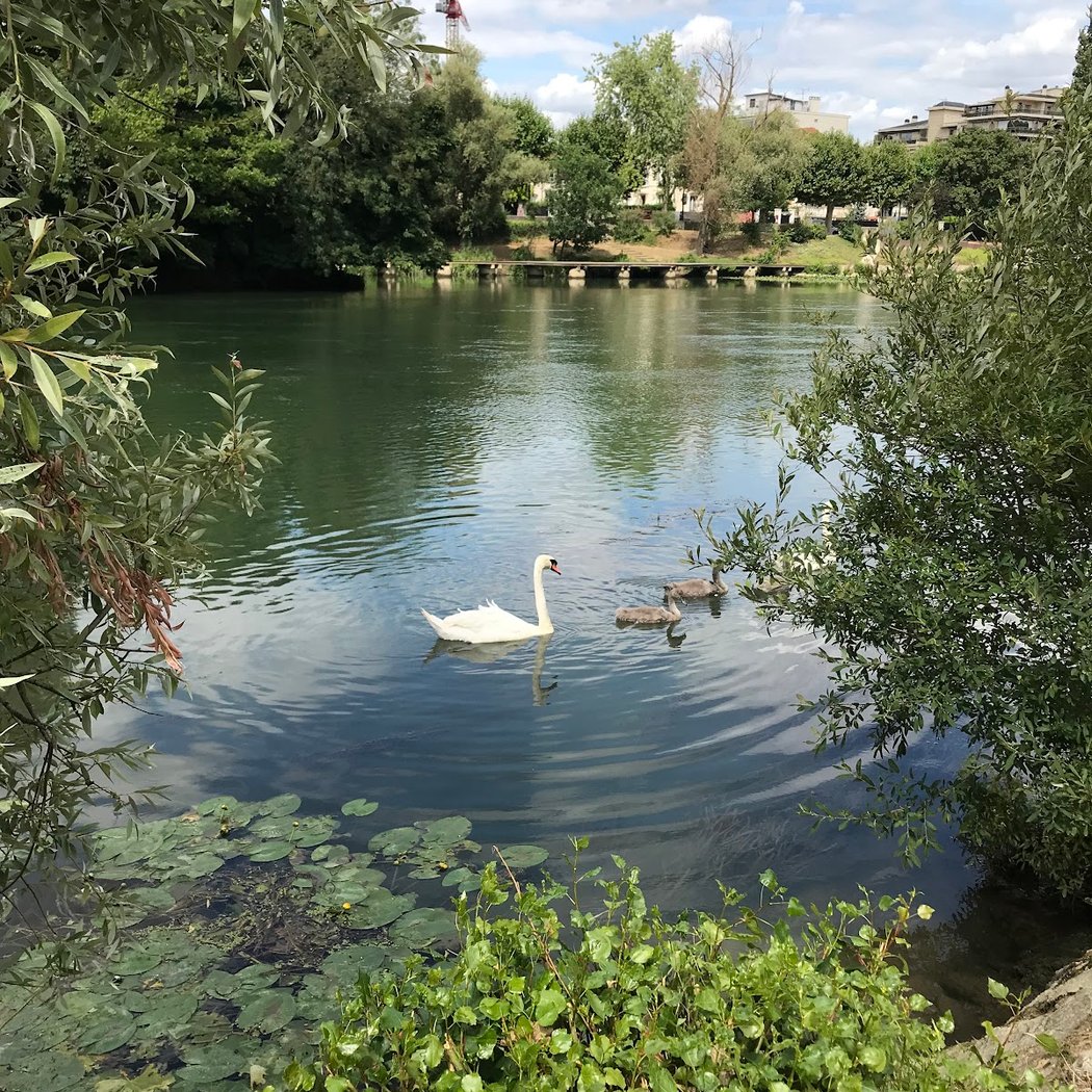 Bords de Marne à Saint Maur des fossés 2