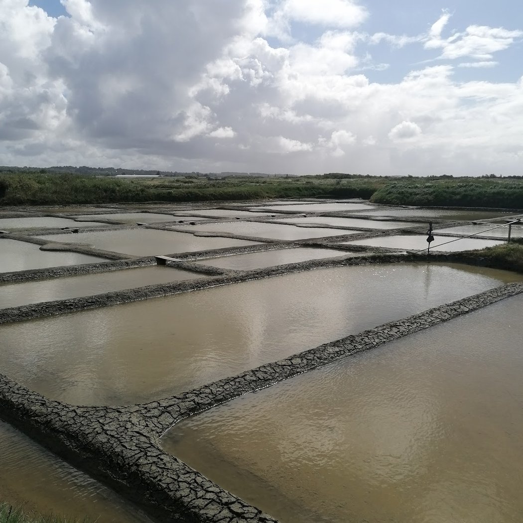 Desmars Salants Emilie Paludiere À Guerande 3