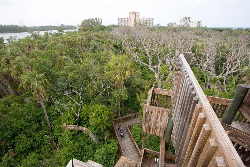 Island Treks 3