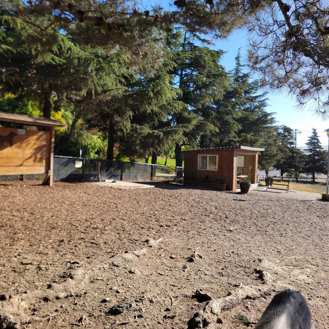Remington Dog Park 3