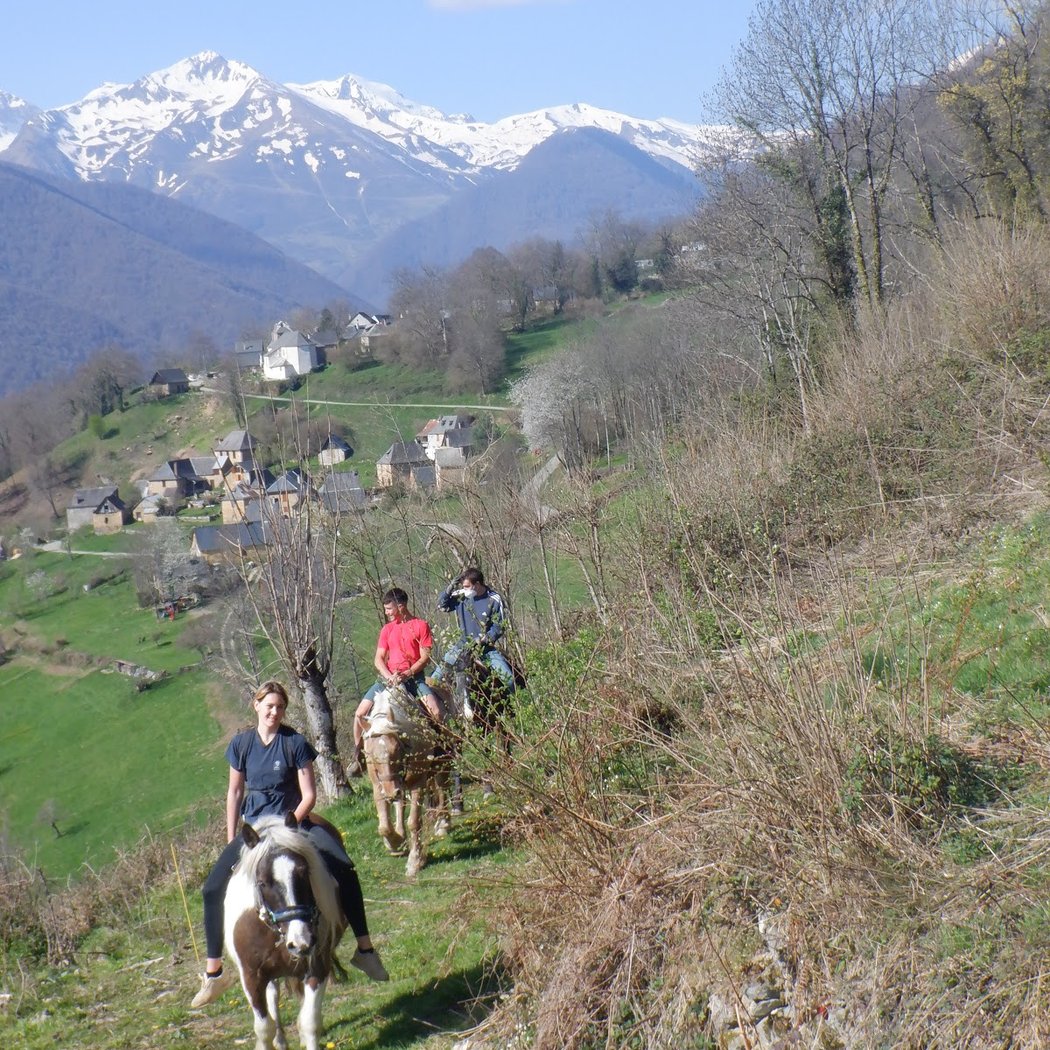 Les chevaux de la Spone - Balade & randonnée à cheval - Cours d'équitation - Elevage 1