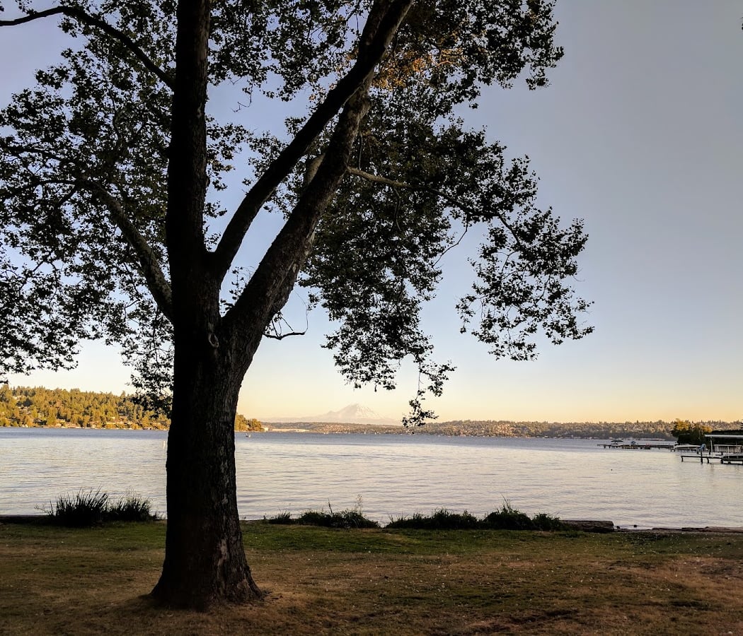 Restoration work party at Martha Washington Park 1