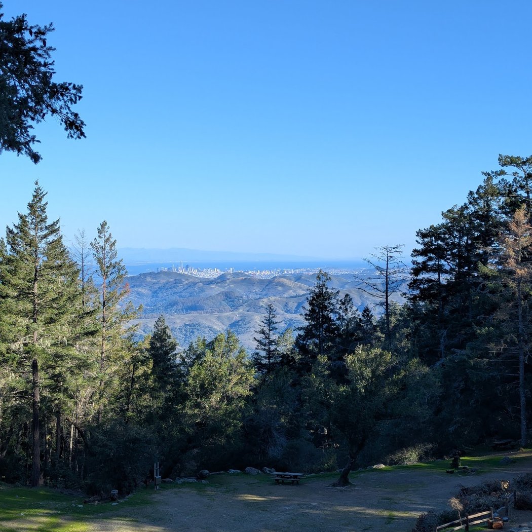 Walking Mt. Tam: Trails of Creativity 3