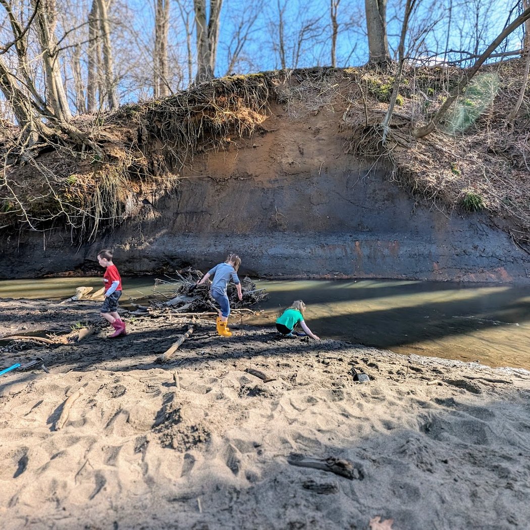 Big Brook Preserve 1