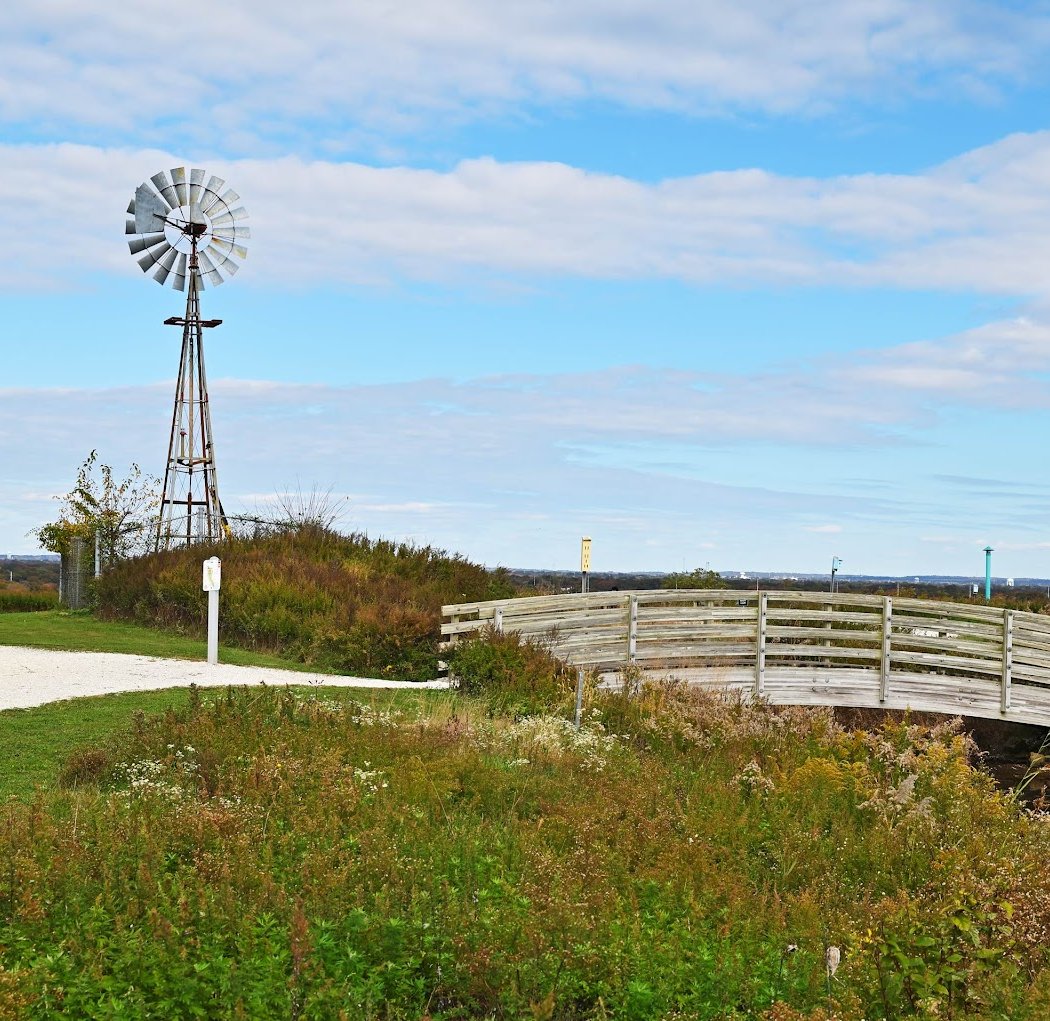 Norman J. Levy Park & Preserve 1