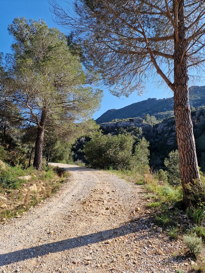 La Casella 2