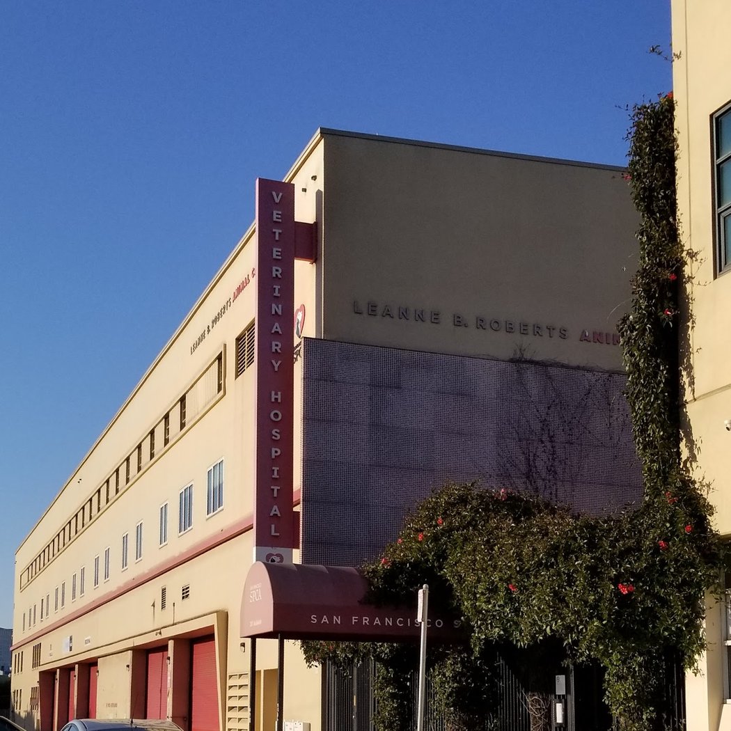 San Francisco SPCA Veterinary Hospital 3