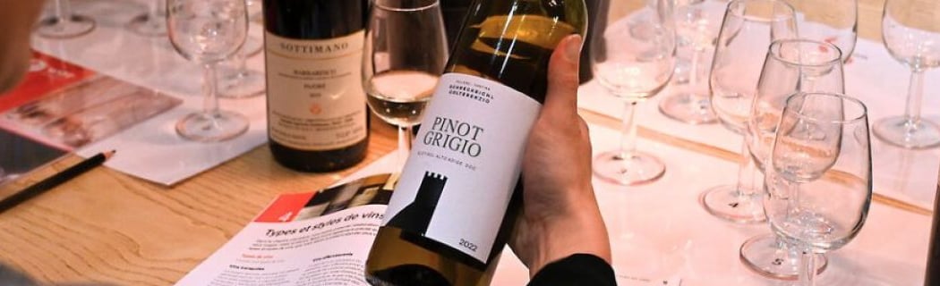 WSET 1 en vins 1