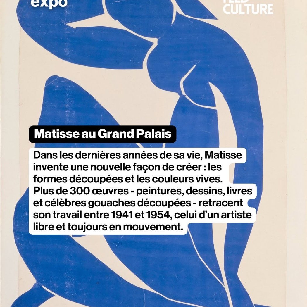 230 oeuvres de Matisse 1