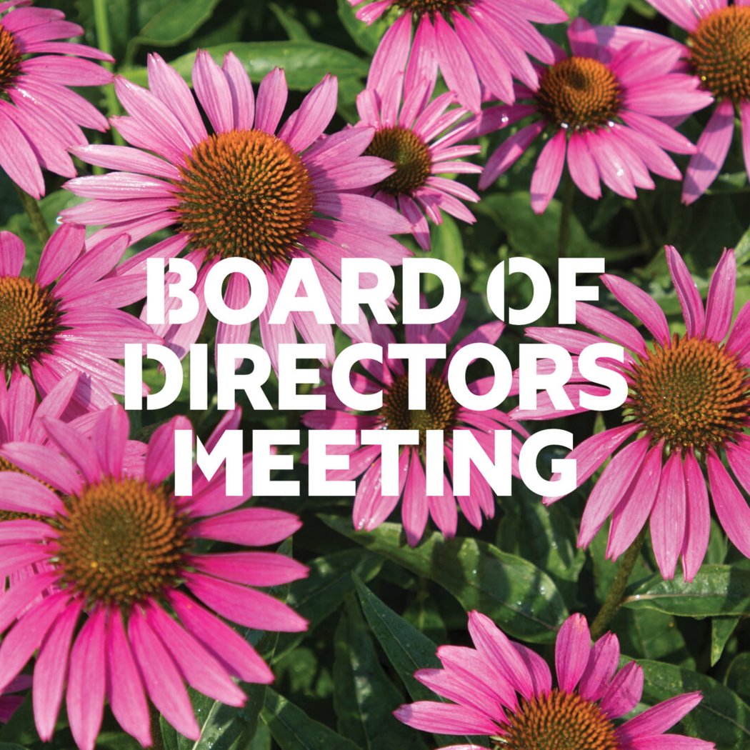 Board of Directors Governance Committee Meeting 1
