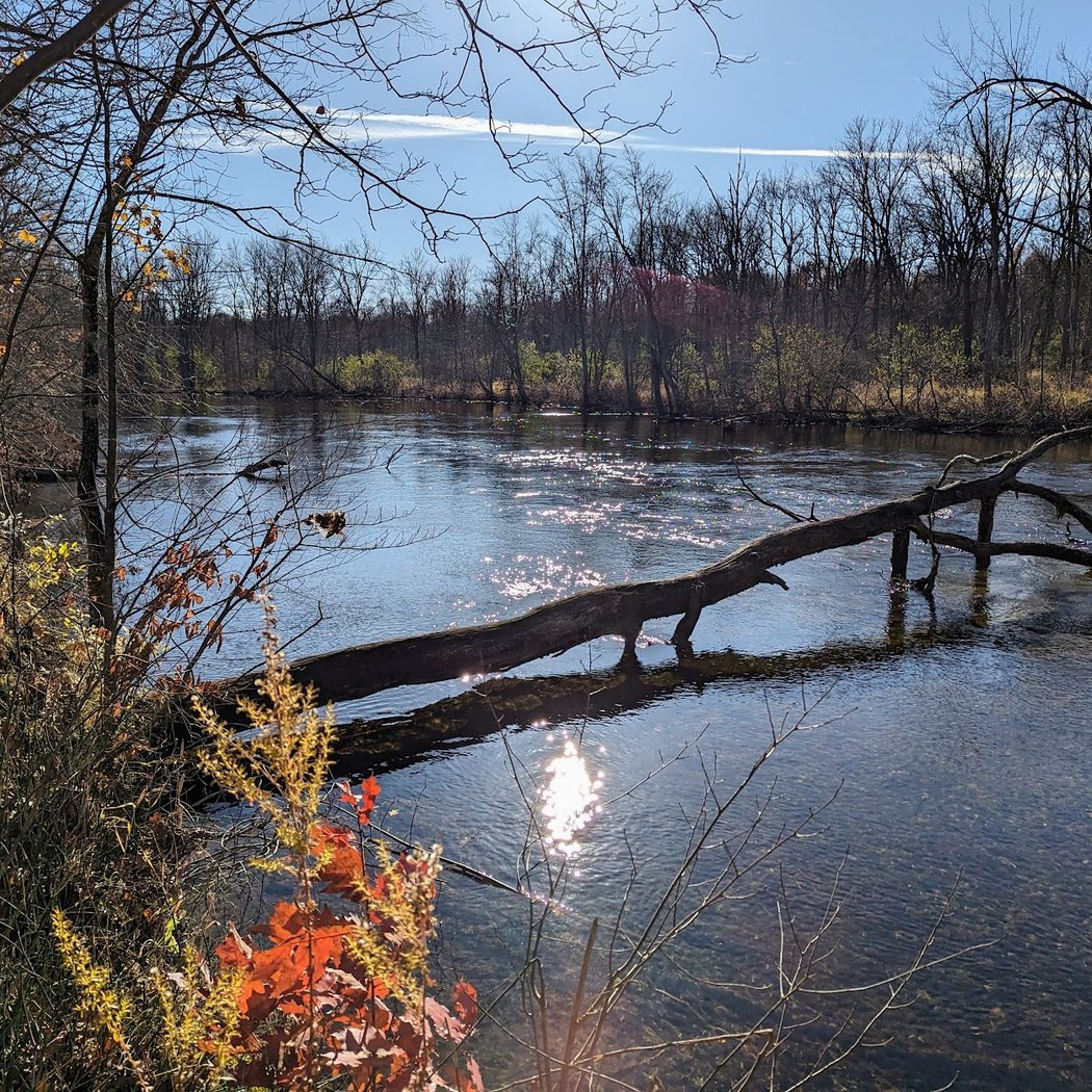 Nature Journaling Workshop 4