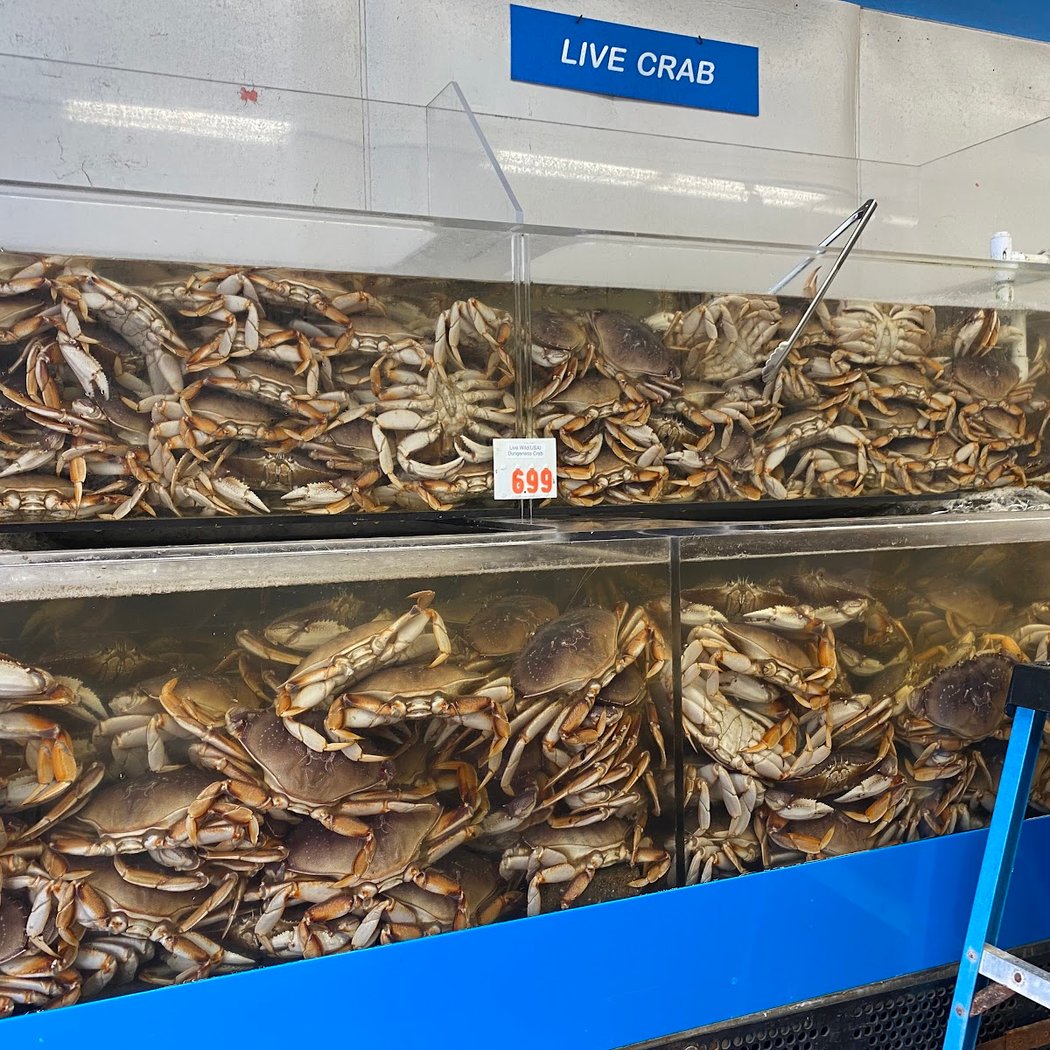 Sun Fat Seafood Co 1