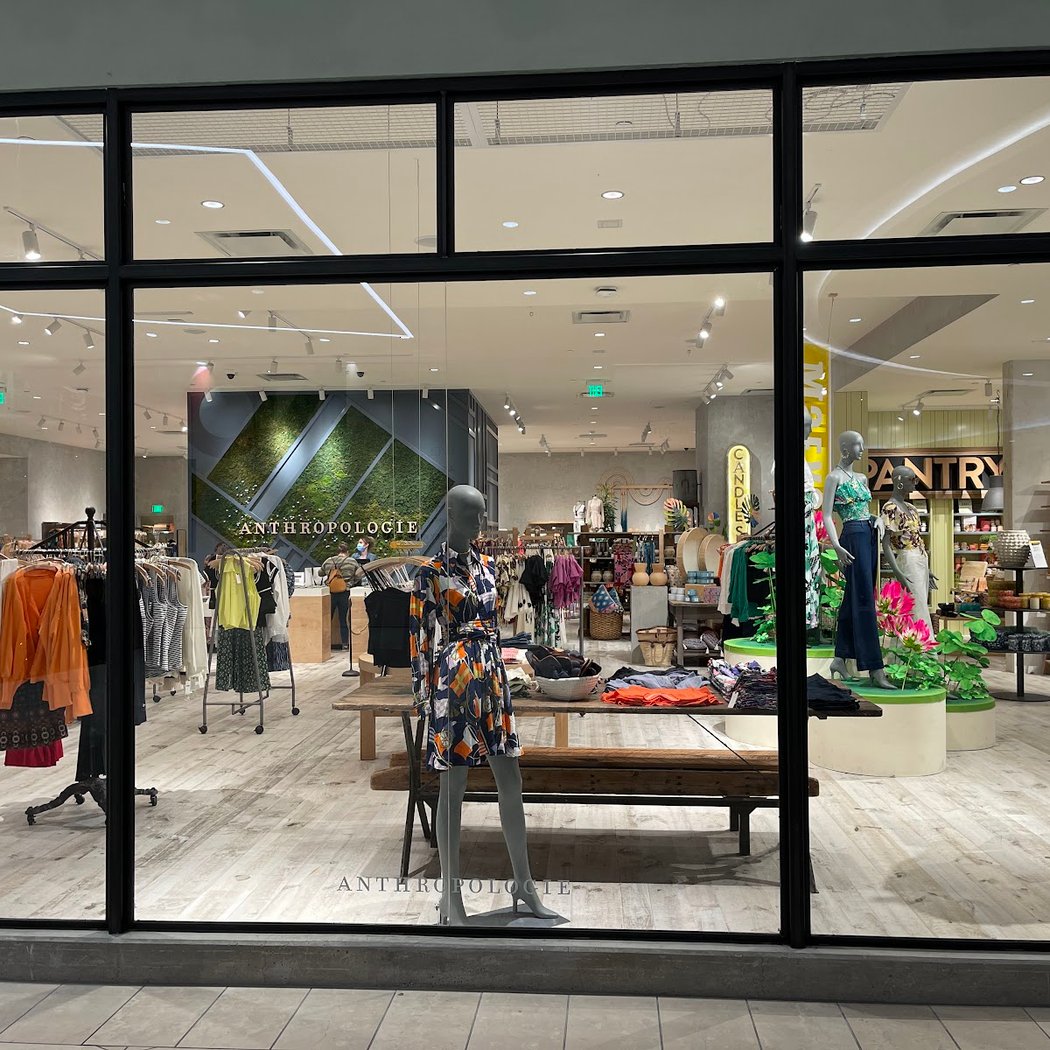 Anthropologie 2