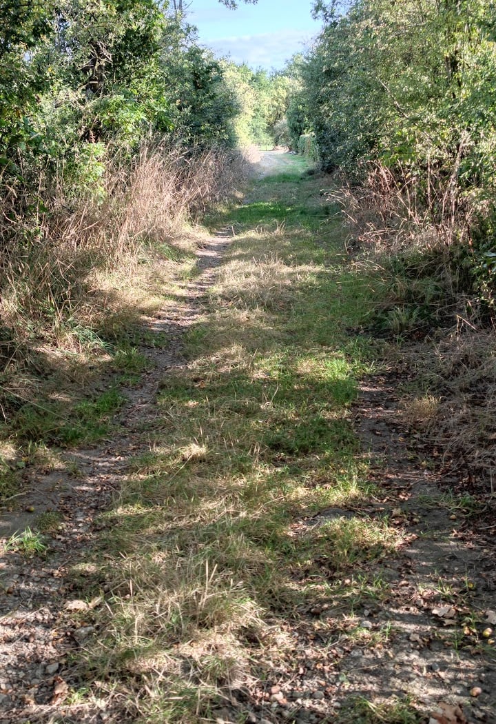 Chemin (public) des Bazins <-> Ferme de La Ranjonniere 2