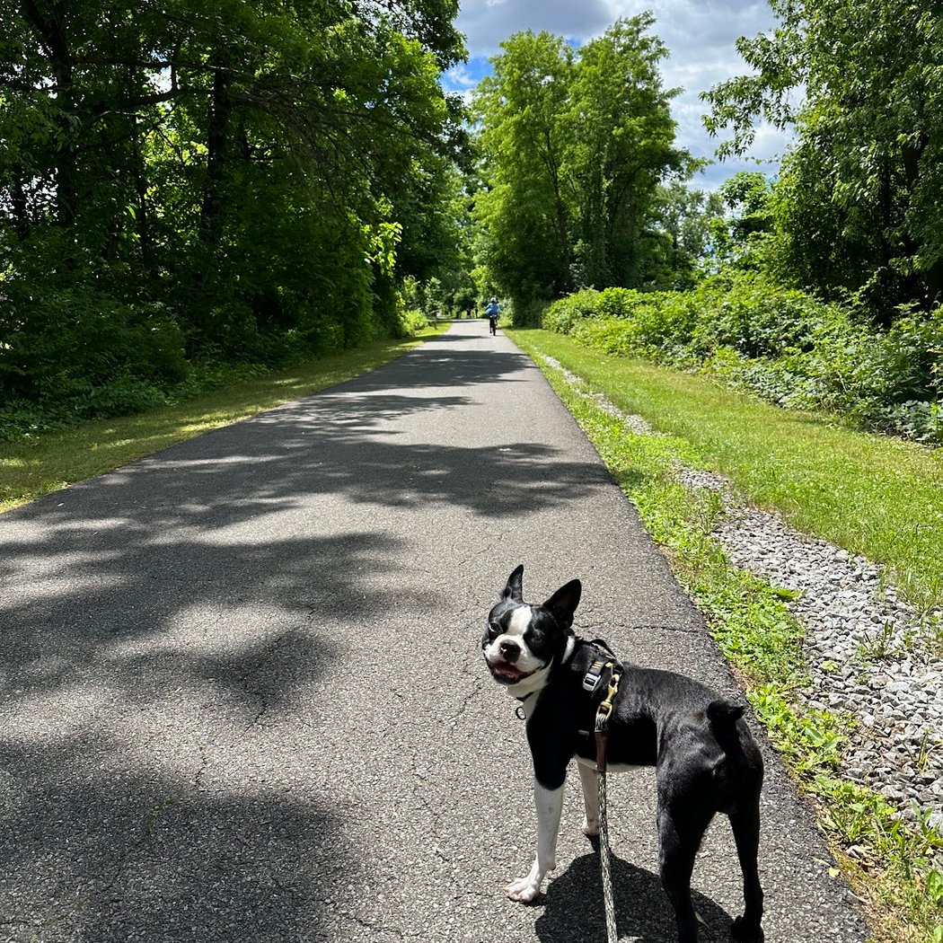 South County Trailway 4
