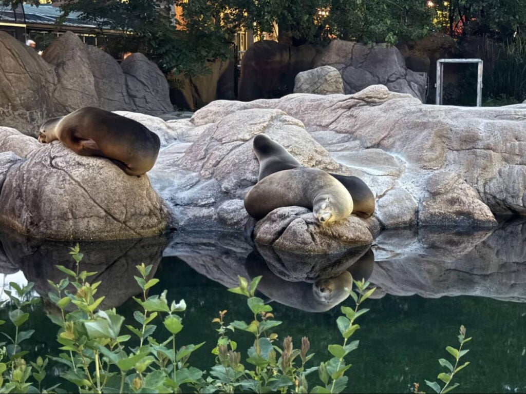 Brew at the Zoo 2