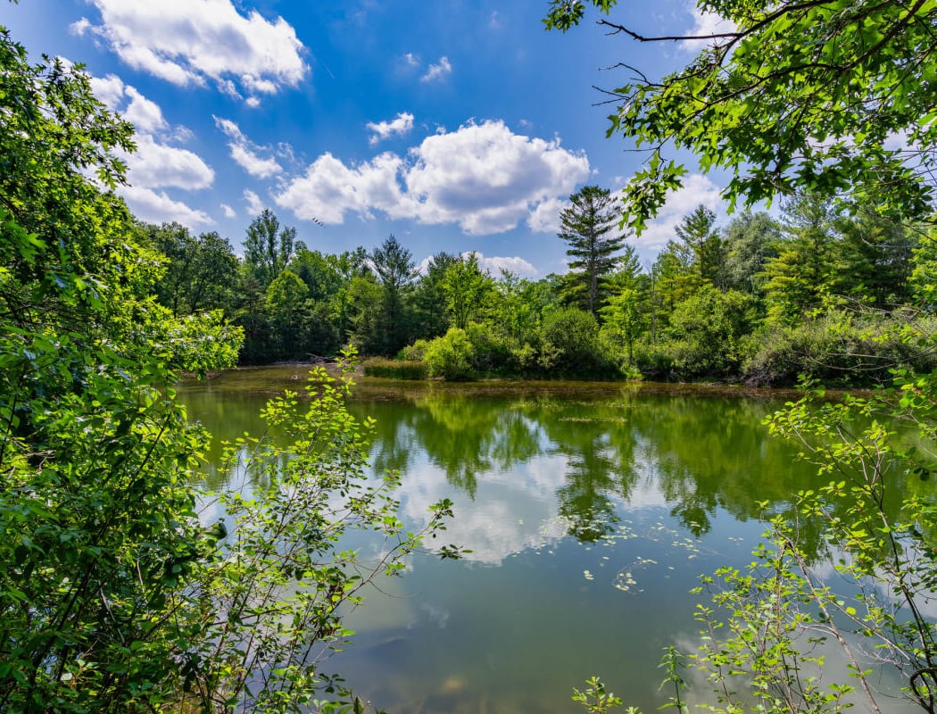 Rogue River Park 1