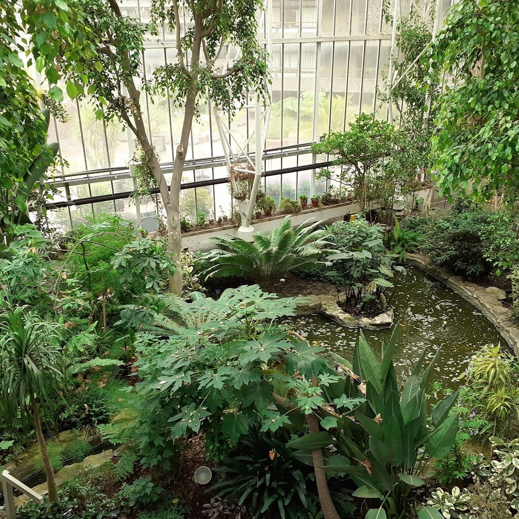 Nature in the city: Explore London’s best parks and green spaces 2