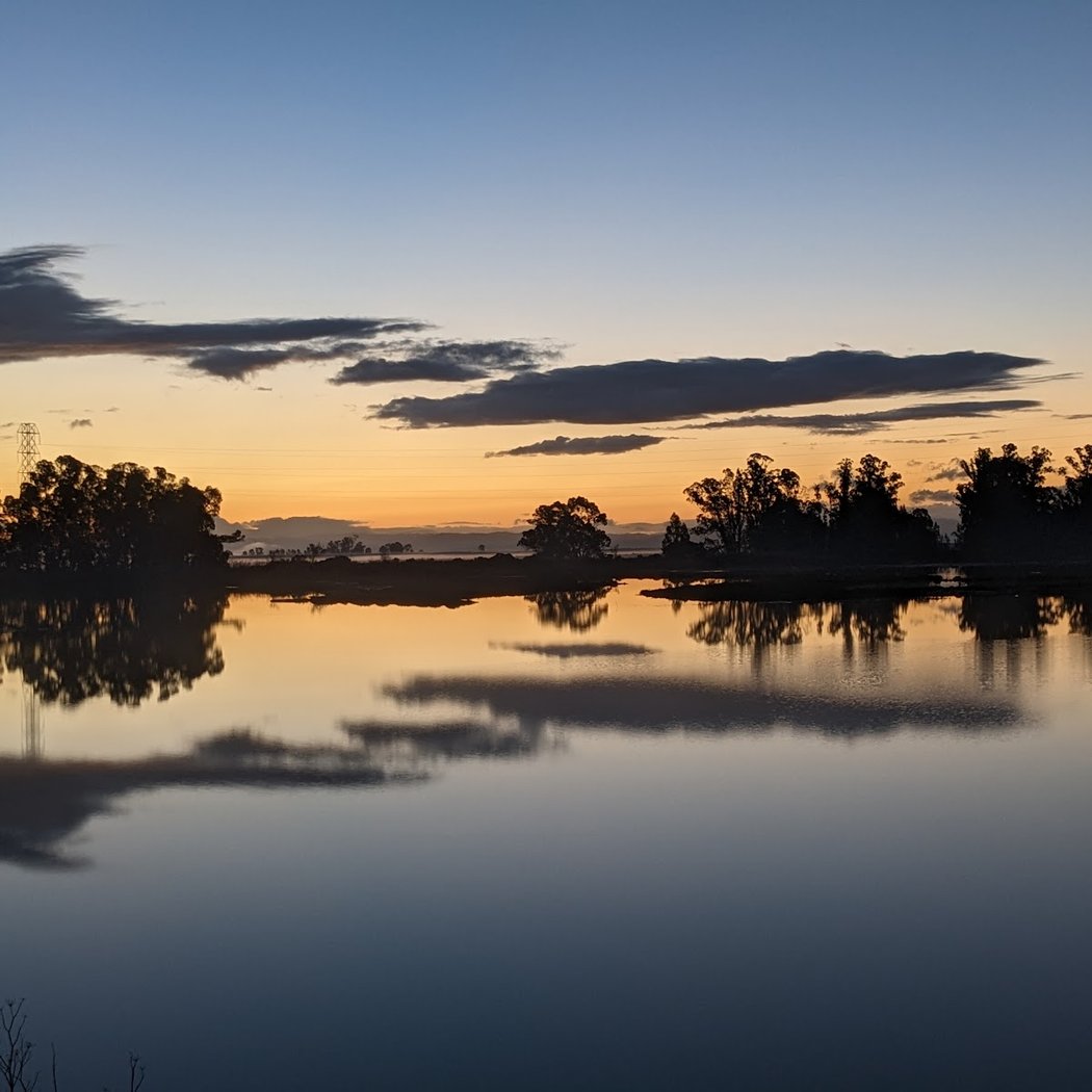 Pacheco Pond 1