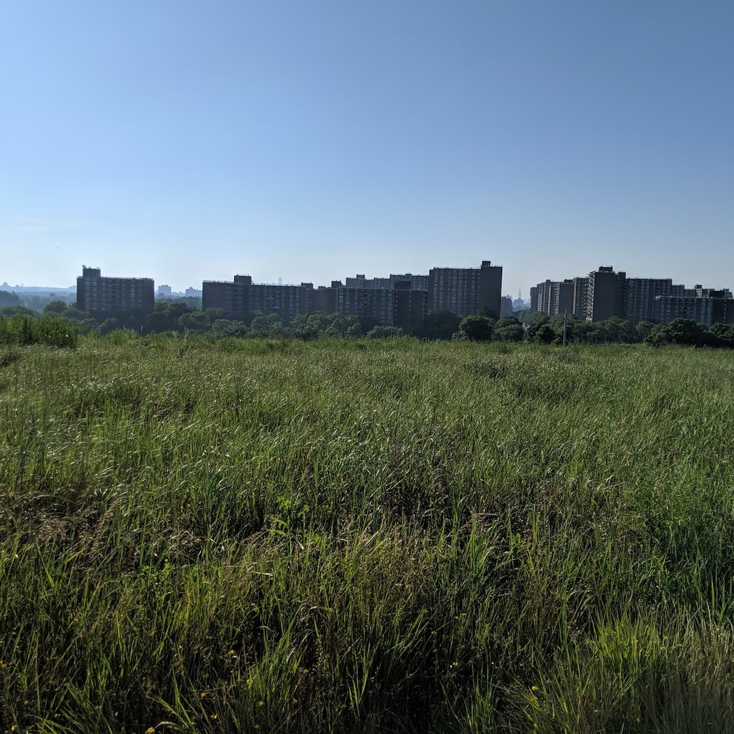 Starrett City Park 3