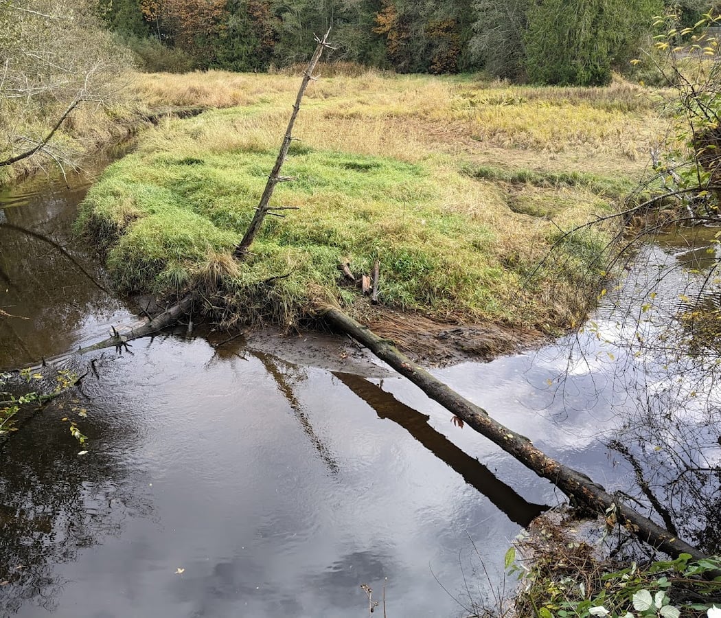 Poulsbo's Fish Park 2