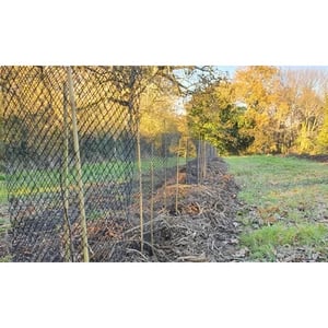 Chantiers d'animation et de démonstration de plantations 1