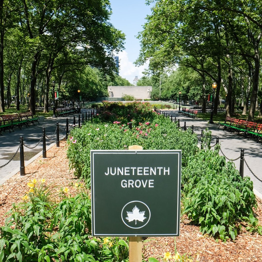 Juneteenth Day Ride: Brooklyn 1