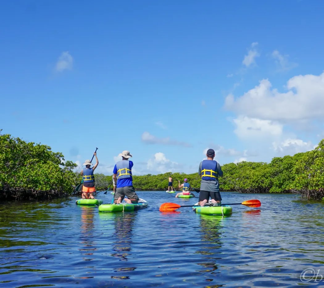 Jones Lagoon Eco-Adventure Paddle 1
