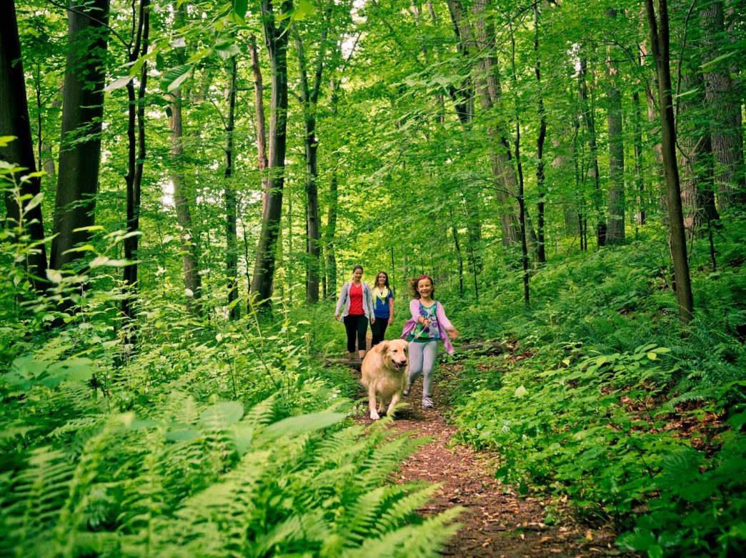 A Walk in Penn's Woods
