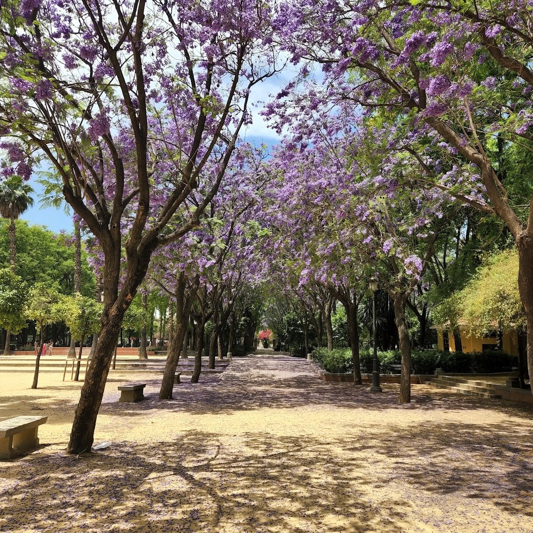 Jardines del Prado de San Sebastián 1