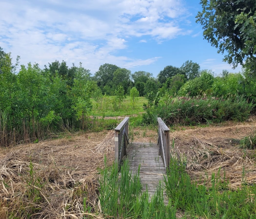 Dunning Read Natural Area 3