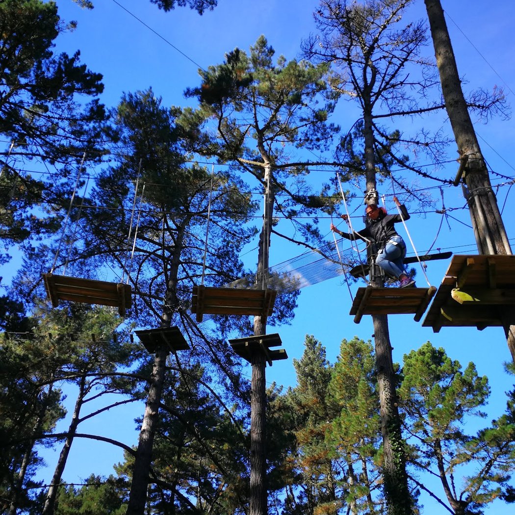 Perched live, Adventure Park 3
