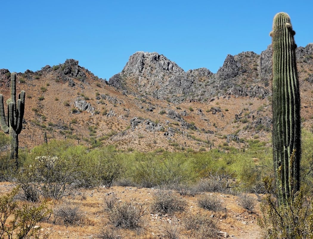 Spectacular Sunrise Guided Hike in Phoenix 2