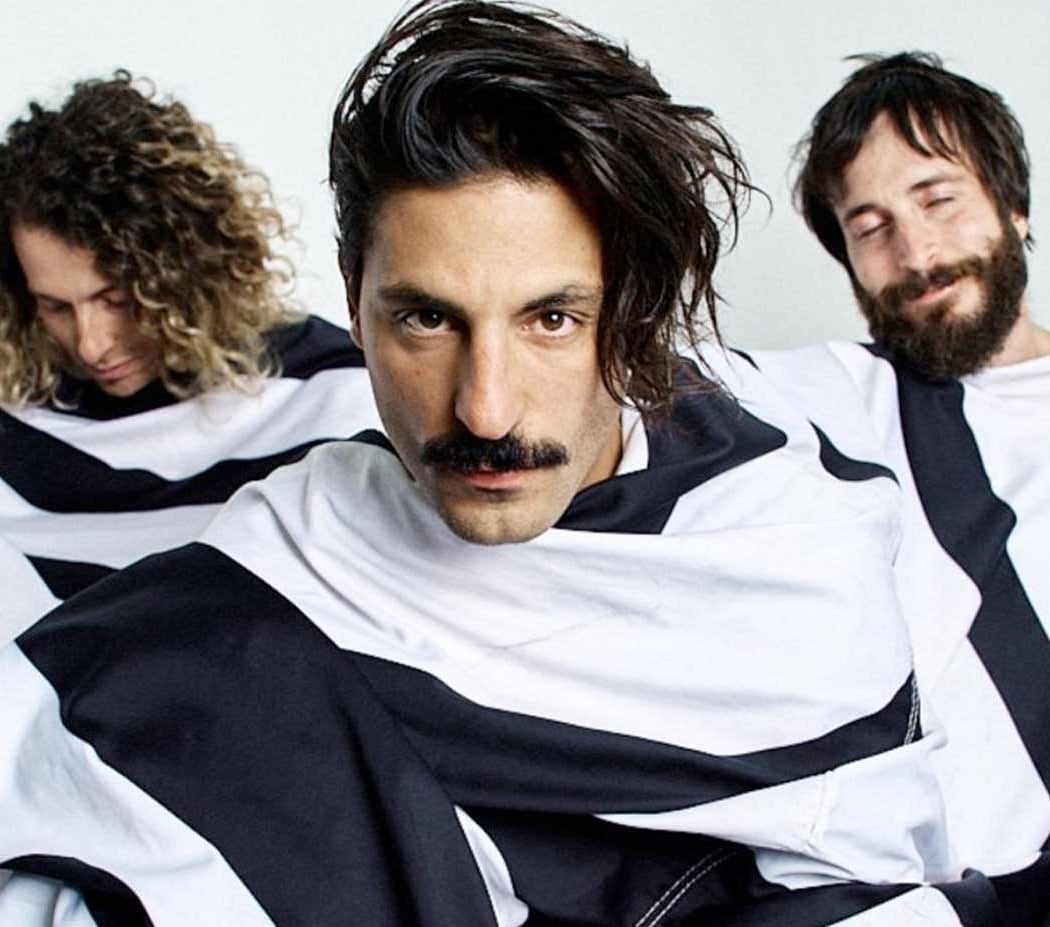 Sexy Zebras 2