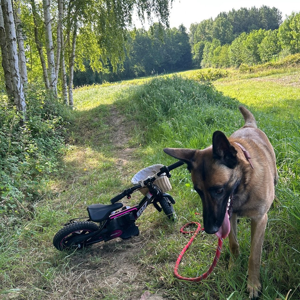 Mini terrain de vélo 1
