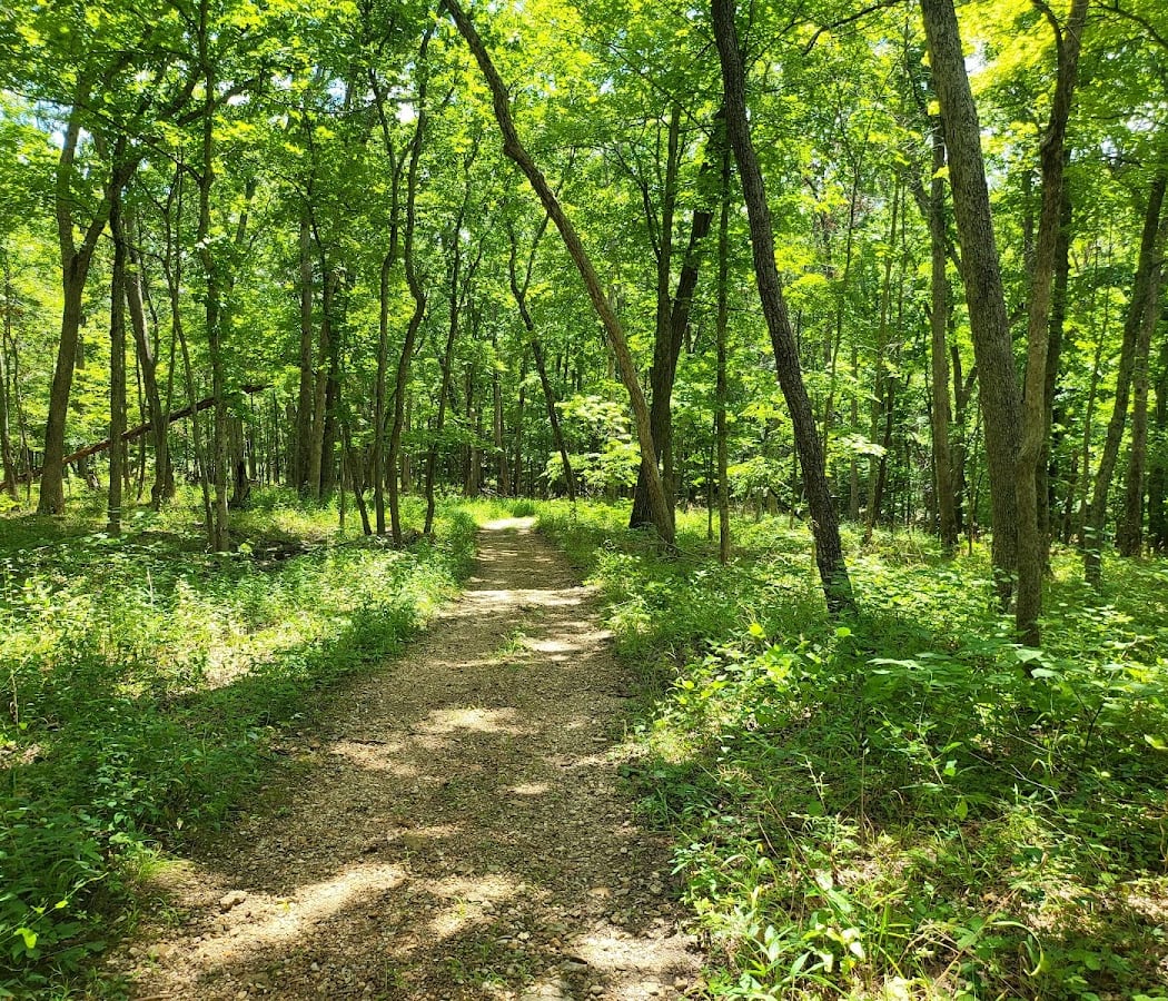 Shaw Nature Reserve 3