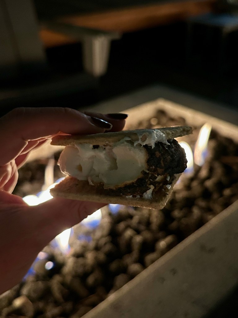 S’mores Hour 2