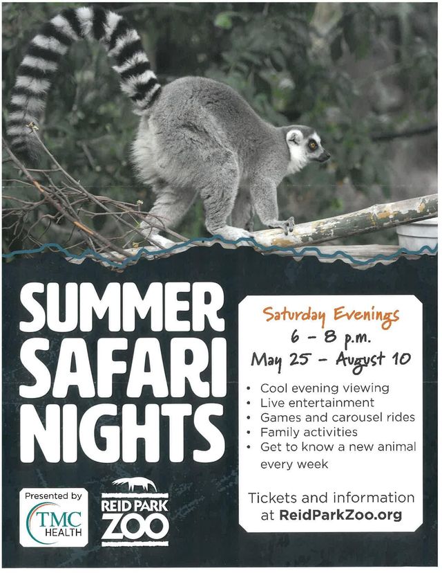 Summer Safari Nights 3